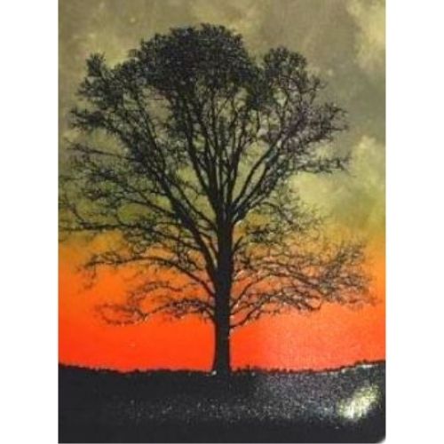 Litoral Accesorios Celulares